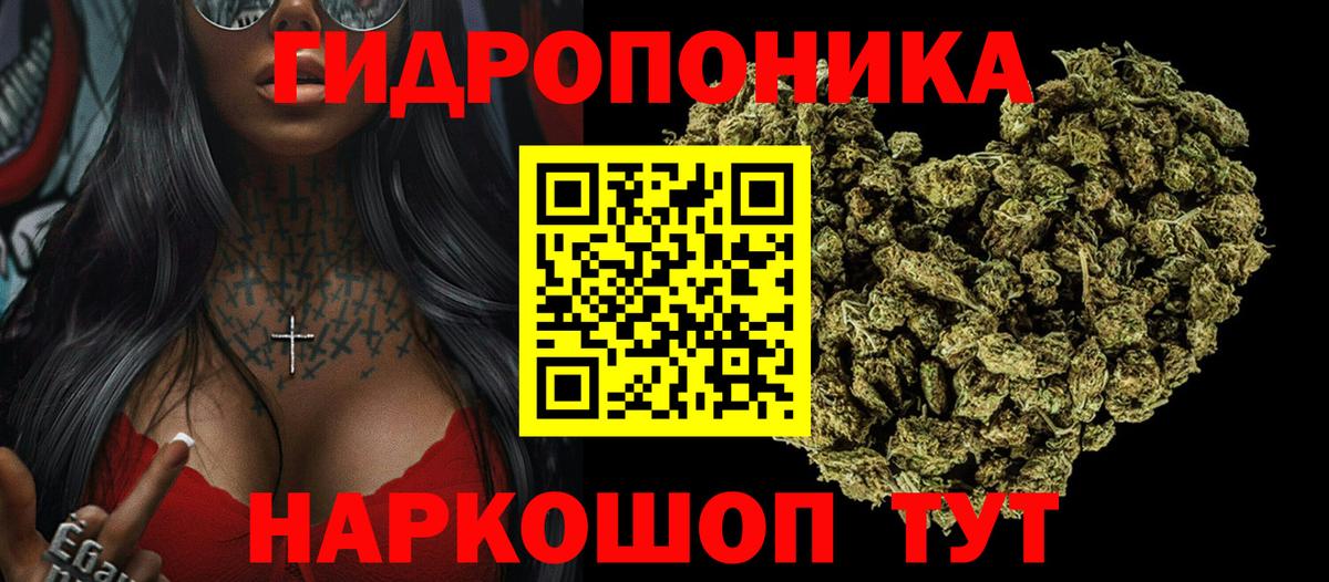 Канабис гибрид  Канабис конопля  Вход с VPN  Кирово-Чепецк  Бошки марихуана тримм 